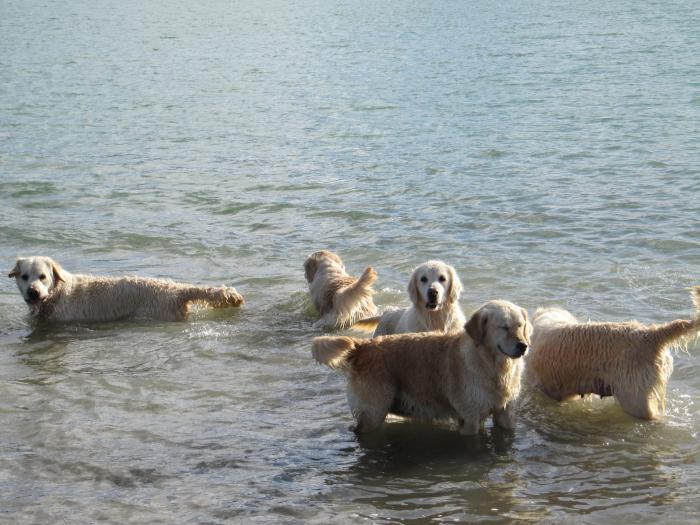 Bonito paseo en el lago