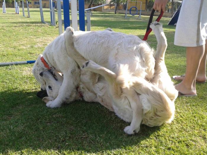 Dos hemanos se encuentran despues de 10 meses